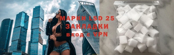 трава Аркадак