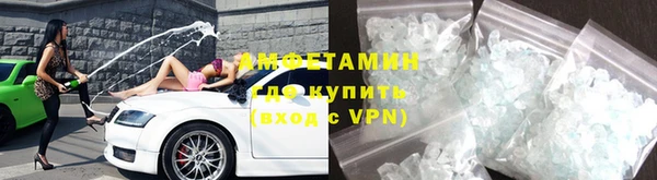 трава Аркадак