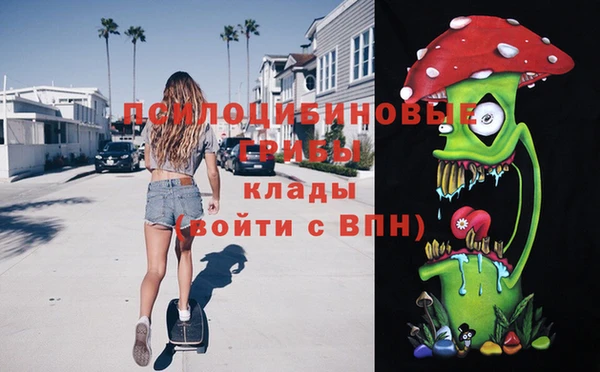 spice Арсеньев