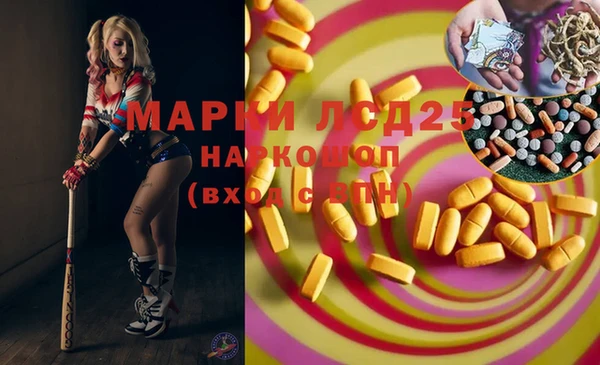 spice Арсеньев