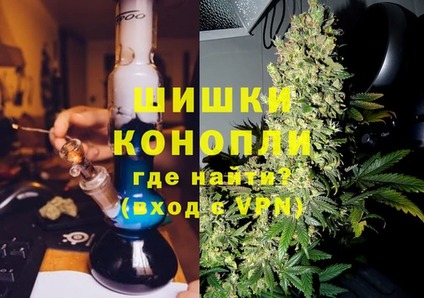 сатива Армянск