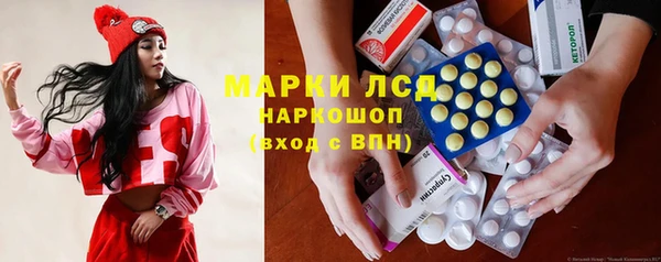 сатива Армянск