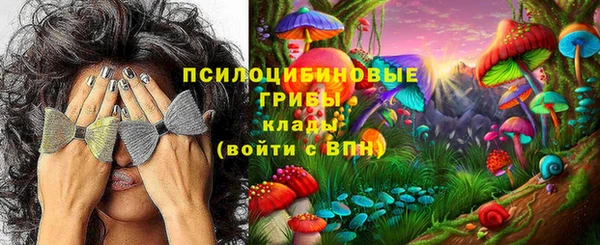 трава Аркадак