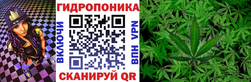 Марихуана семена Полярный
